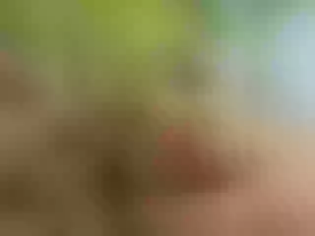 Live sex webcam photo for Homely #277970874