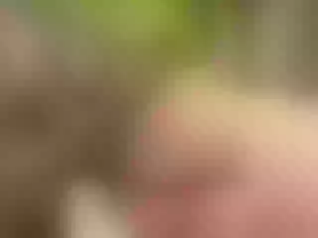 Live sex webcam photo for Homely #278008531