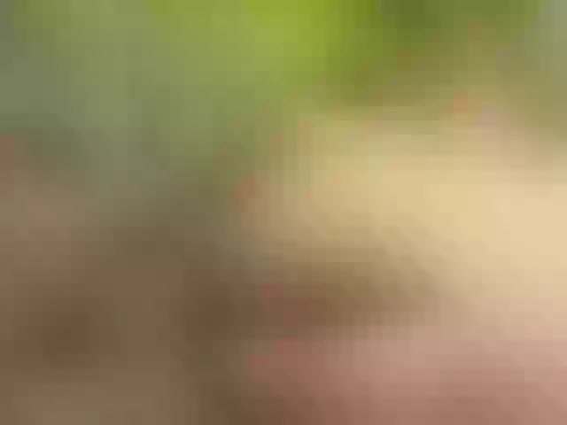 Live sex webcam photo for Homely #278073802