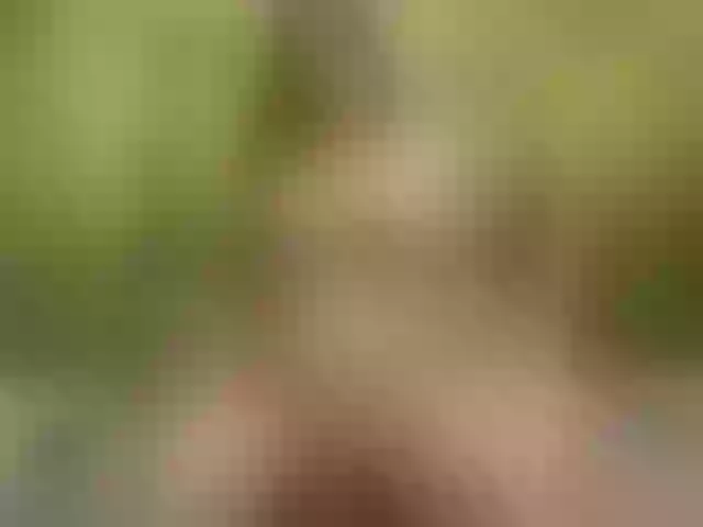 Live sex webcam photo for Homely #278217656