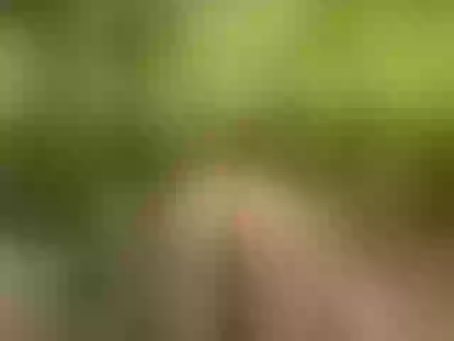 Live sex webcam photo for Homely #278304680