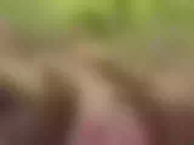 Live sex webcam photo for Homely #290405107
