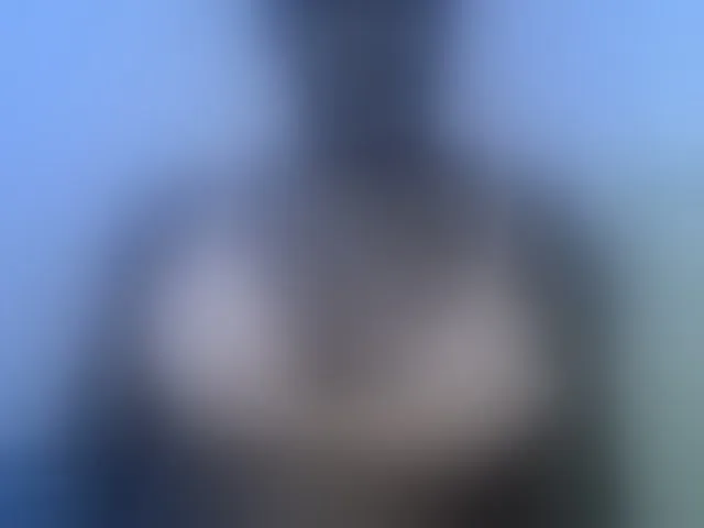 Live sex webcam photo for Honey-drop #293951107
