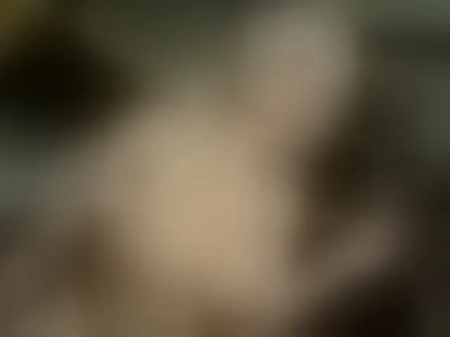 Live sex webcam photo for HoneyKawaii #293461561