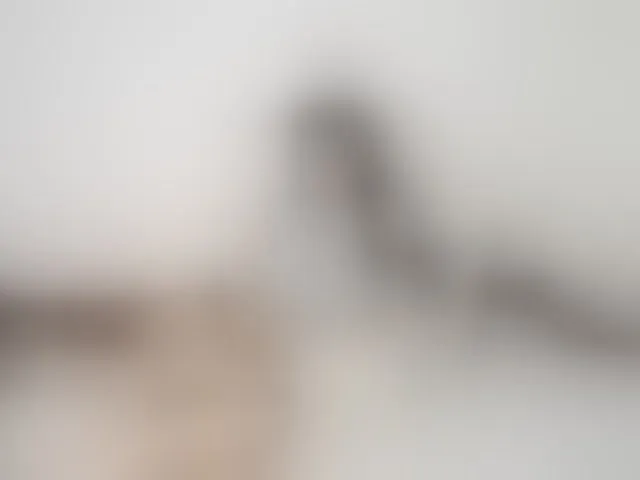 Live sex webcam photo for Honeykrisspussy #293339375