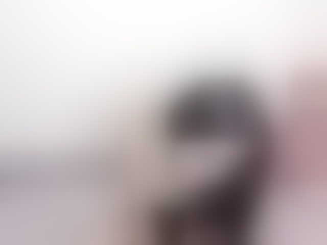 Live sex webcam photo for Honeykrisspussy #294037618