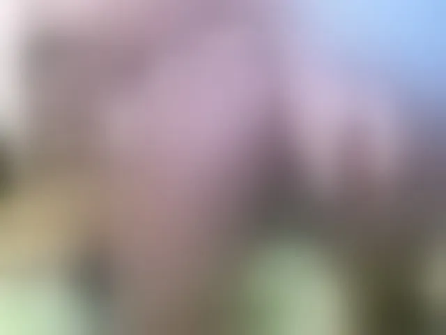 Live sex webcam photo for Honoratte #291679510