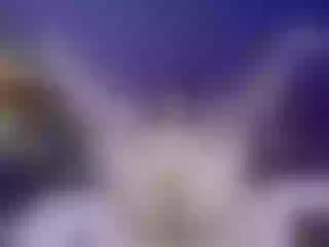 Live sex webcam photo for HornySkinny26 #276921051