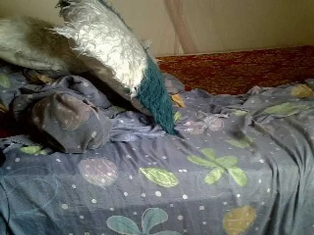 Live sex webcam photo for Hornybeb #277135331