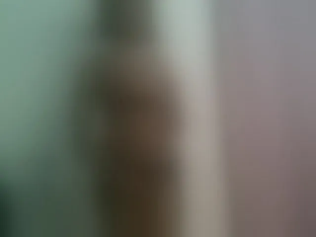 Live sex webcam photo for Hornylisa #292835910