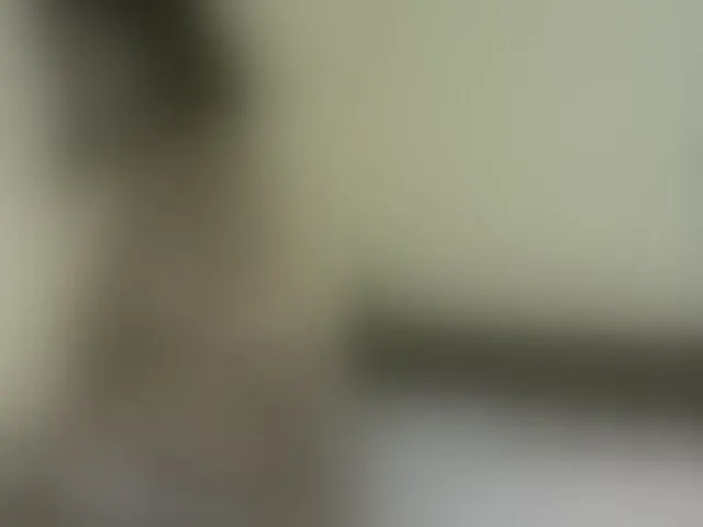 Live sex webcam photo for Hornylisa #292916319