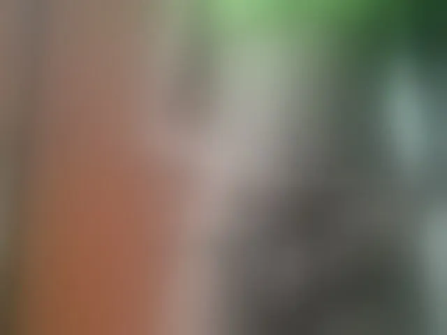Live sex webcam photo for Hornylisa #293030096