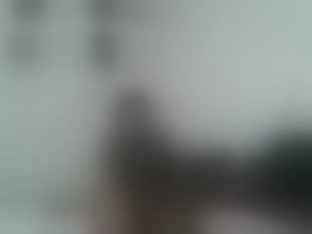 Live sex webcam photo for Hornylisa #293094432
