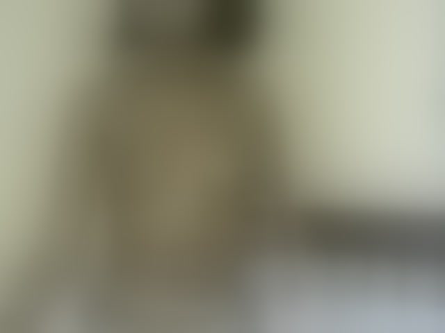 Live sex webcam photo for Hornylisa #293522299