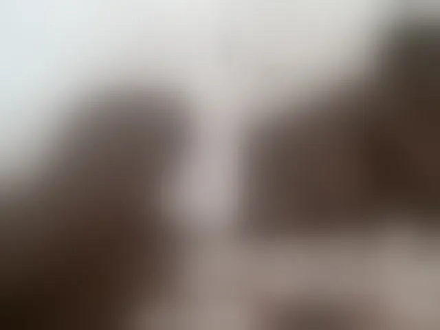 Live sex webcam photo for Hot-Sherry #291541832
