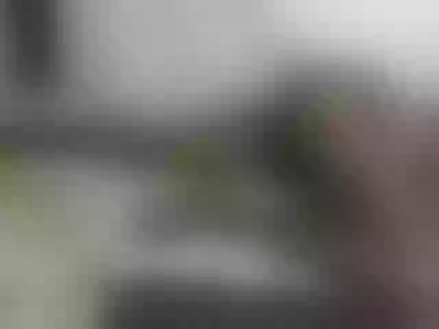 Live sex webcam photo for Hot-Sherry #291889137