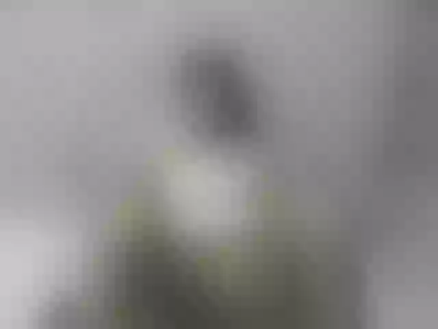 Live sex webcam photo for HotAshley24 #276006481