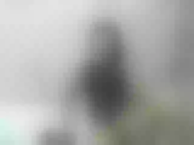 Live sex webcam photo for HotAshley24 #276046845