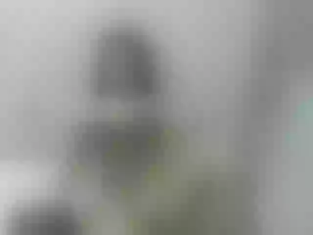 Live sex webcam photo for HotAshley24 #276336260