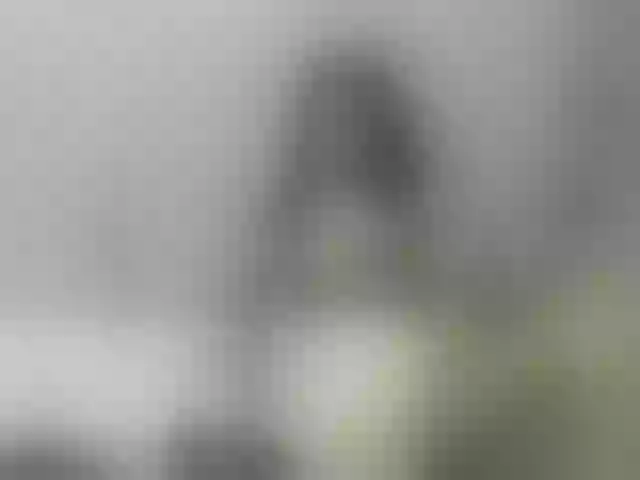Live sex webcam photo for HotAshley24 #276377661