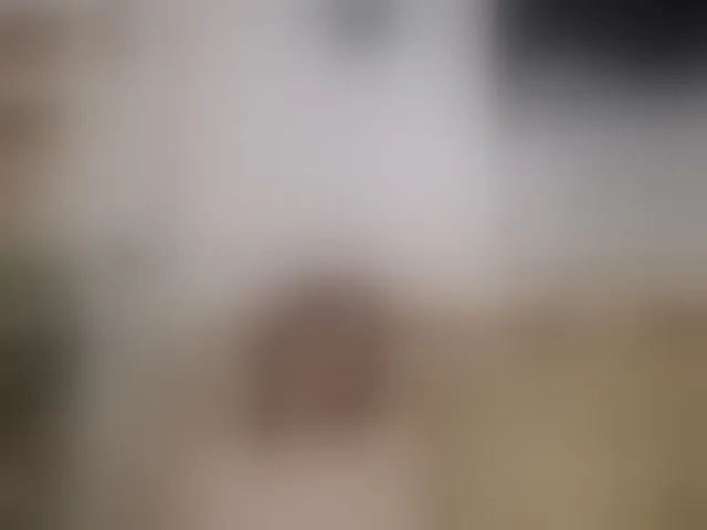 Live sex webcam photo for HotBeautyQuen #293207384