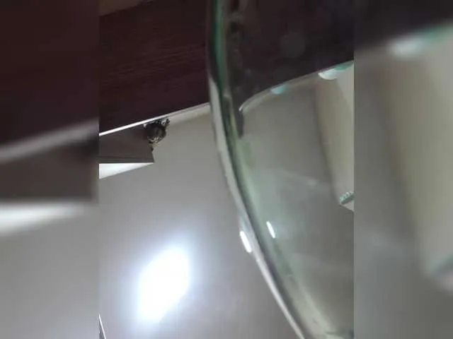 Live sex webcam photo for HotGiirl #290902484