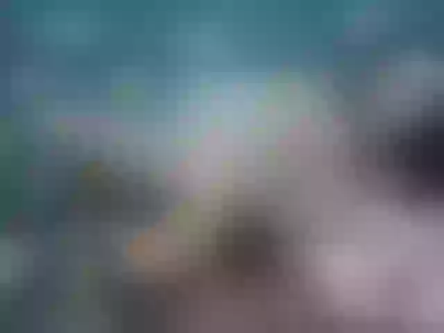 Live sex webcam photo for HotNica69 #277377386