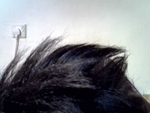 Live sex webcam photo for Hotcumqueen #278170102