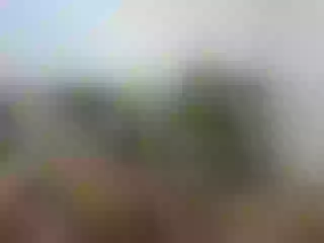 Live sex webcam photo for Hotdee #277966630
