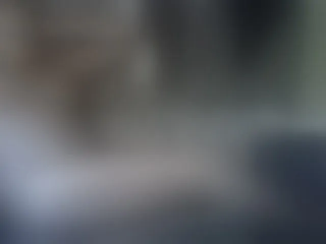 Live sex webcam photo for Hotebony01 #293352612