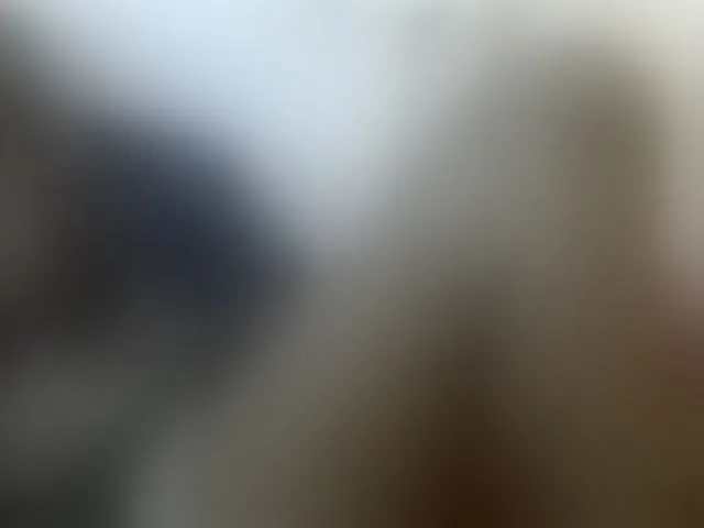 Live sex webcam photo for Hotebony01 #293838884