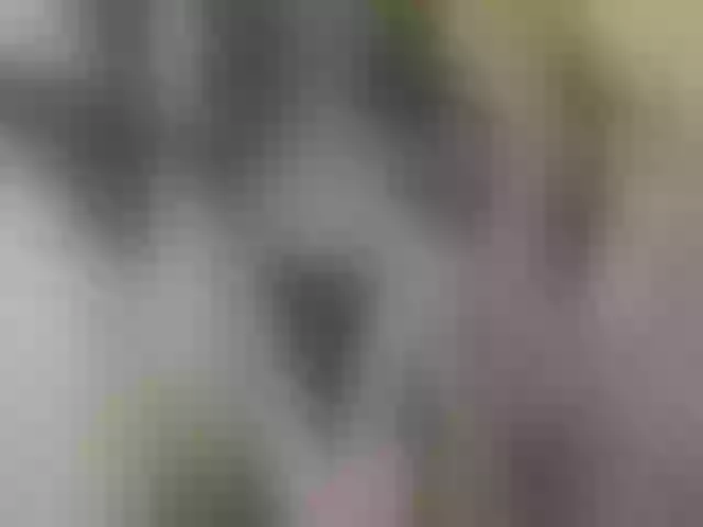 Live sex webcam photo for Hotpepper-Sweetpepper #291923458