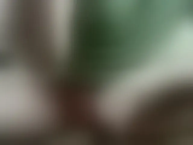 Live sex webcam photo for Hotsexyman48953 #293778987