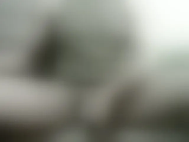 Live sex webcam photo for Hotsexyman48953 #293865640