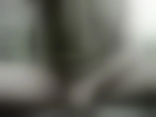 Live sex webcam photo for Hotsexyman48953 #293894016