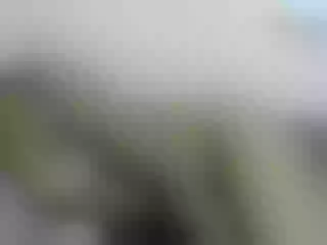 Live sex webcam photo for Hotshant #273624660