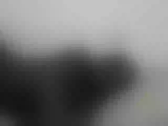 Live sex webcam photo for Hotybobbies #291646466