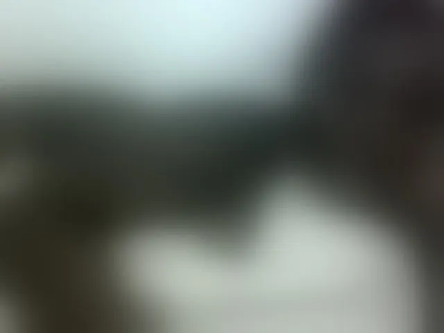 Live sex webcam photo for Hotybobbies #291734453