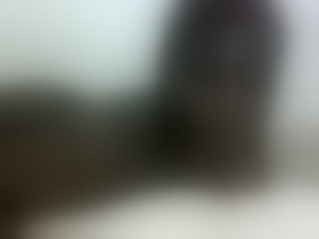 Live sex webcam photo for Hotybobbies #291739621