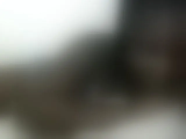 Live sex webcam photo for Hotybobbies #291848461