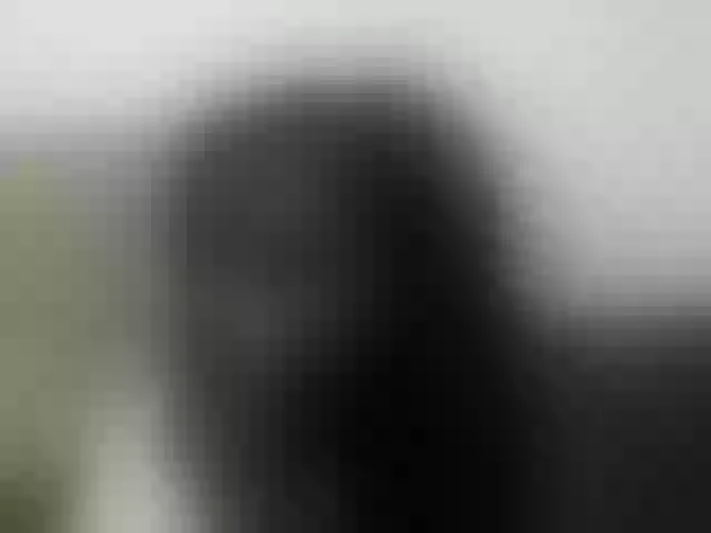 Live sex webcam photo for Hotybobbies #291962180