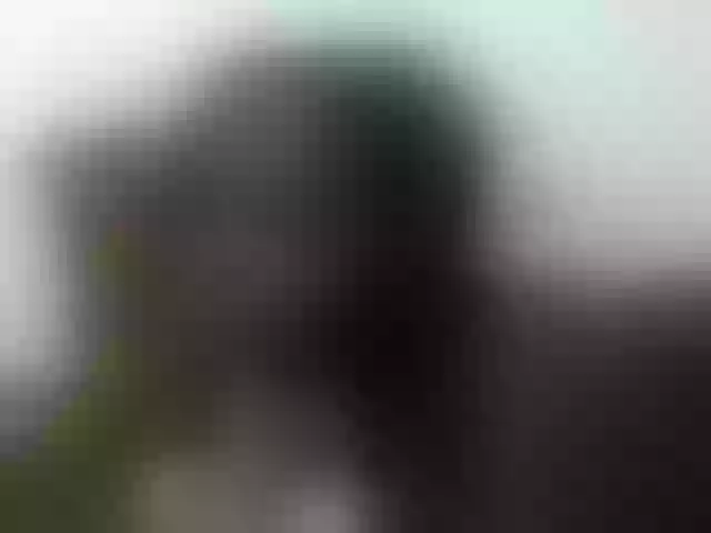 Live sex webcam photo for Hotybobbies #291970183