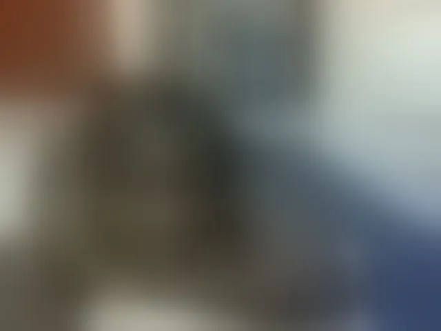Live sex webcam photo for Hotybobbies #292948562