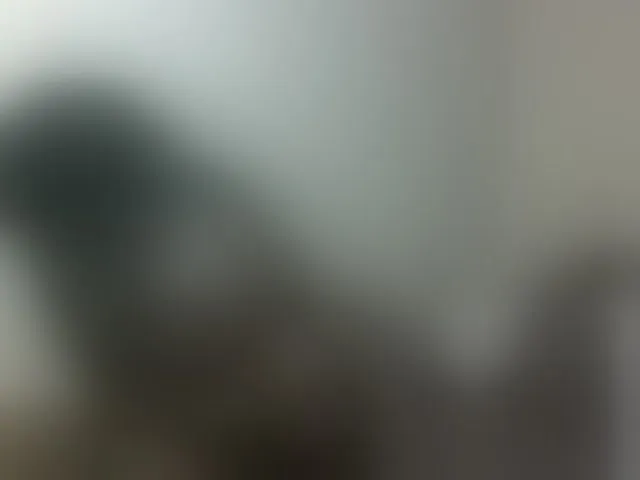 Live sex webcam photo for Hotybobbies #293737836