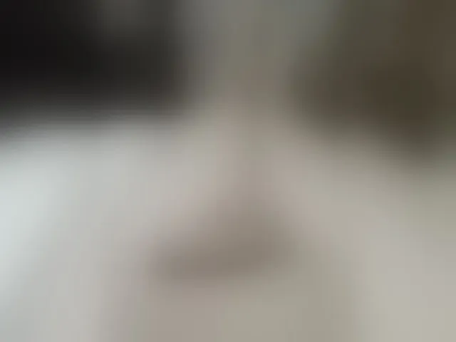 Live sex webcam photo for HowlClaw1994 #292463370