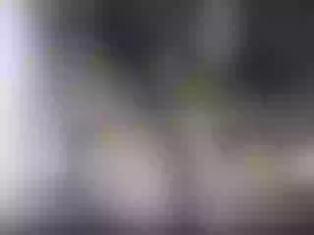 Live sex webcam photo for Howtnisha #276511649