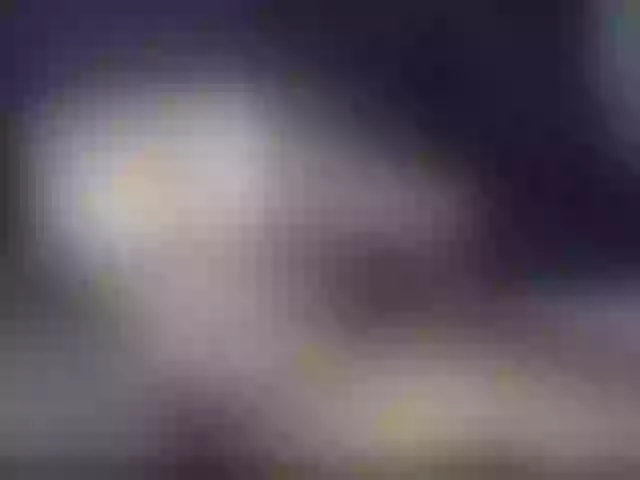 Live sex webcam photo for Howtnisha #276526292