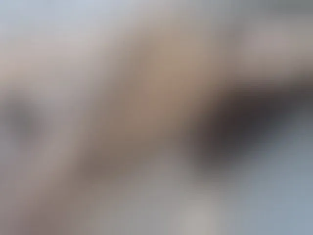 Live sex webcam photo for Hungrycock23x #277007543
