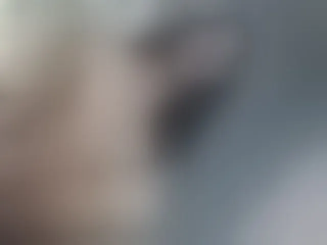 Live sex webcam photo for Hungrycock23x #277650606