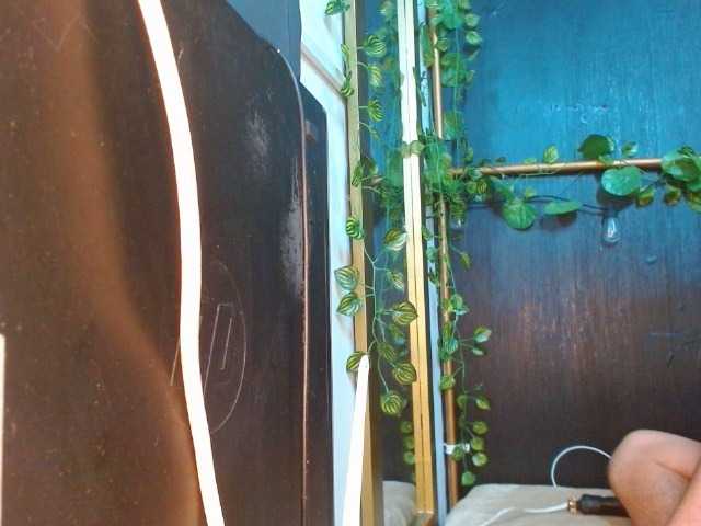 Live sex webcam photo for Huntterboyy #277062997